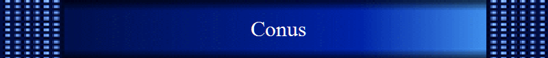 Conus
