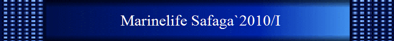 Marinelife Safaga`2010/I