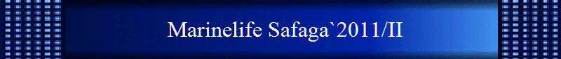 Marinelife Safaga`2011/II