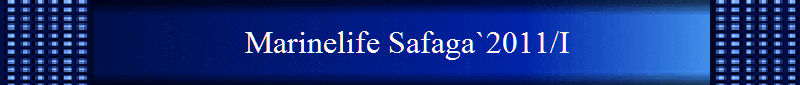 Marinelife Safaga`2011/I
