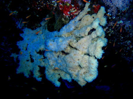0709-1 (167)