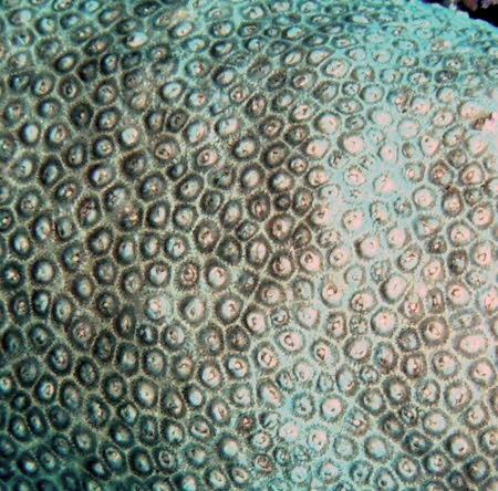 0709-1 (8)