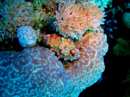 ACIMG1086
