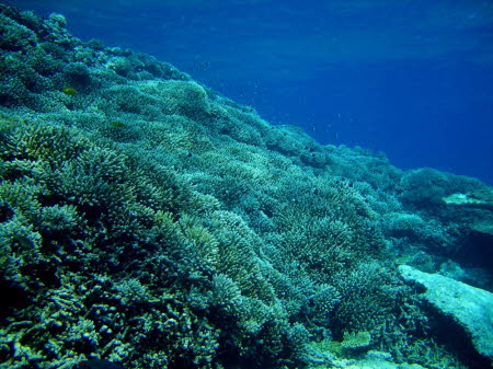 ACIMG9756