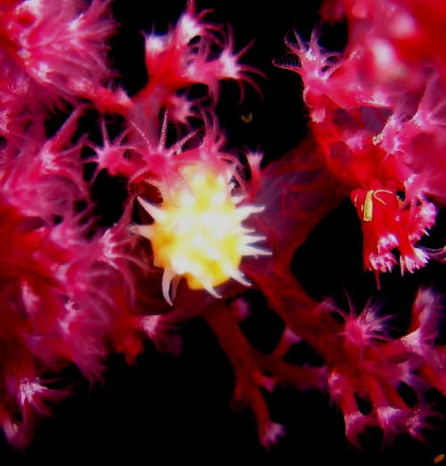 ArchivBild (2150) xx