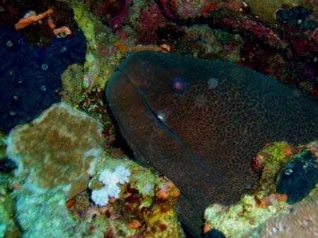 ArchivBild (3006)