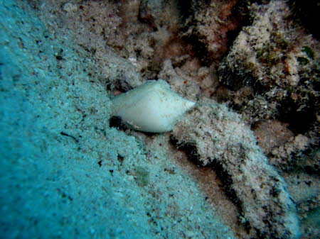 Bildx (129)