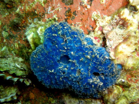 Bildx (55)