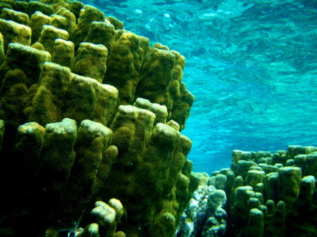 aCIMG0017