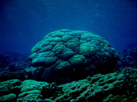 aCIMG0034