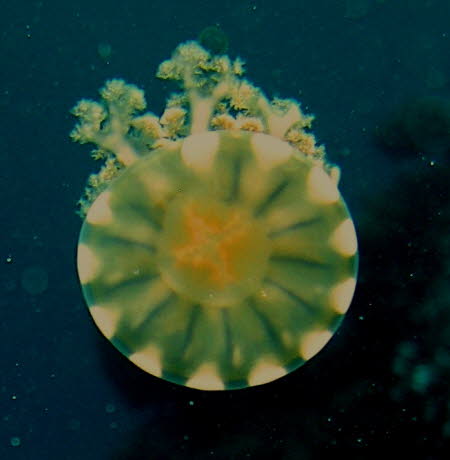 aCIMG0050