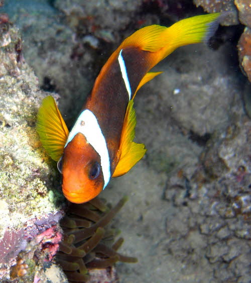 aCIMG0117