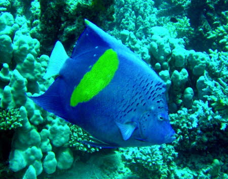 aCIMG0199
