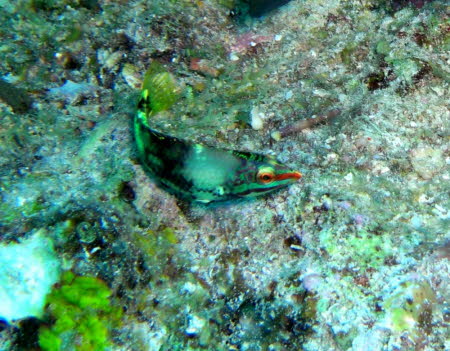 aCIMG0206