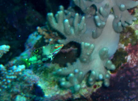 aCIMG0210