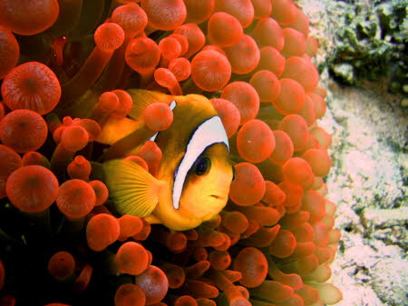 aCIMG0236