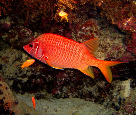 aCIMG0248