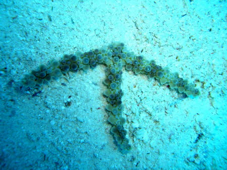 aCIMG0334