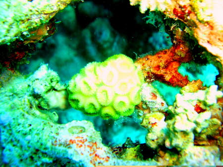 aCIMG0367