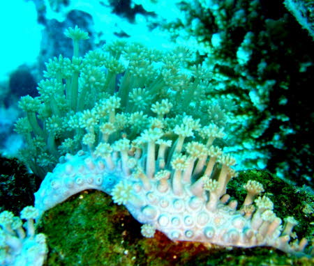 aCIMG0376