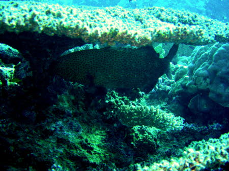 aCIMG0563