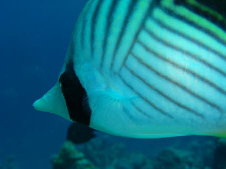 aCIMG0605