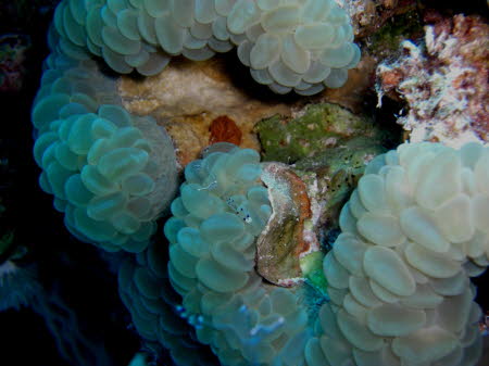 aCIMG0614