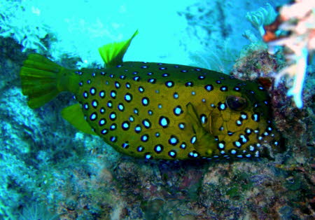 aCIMG0640