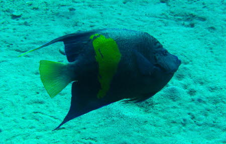 aCIMG0709