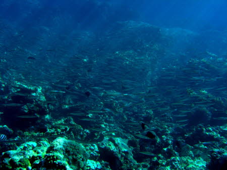 aCIMG0751