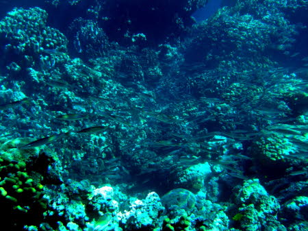 aCIMG0754