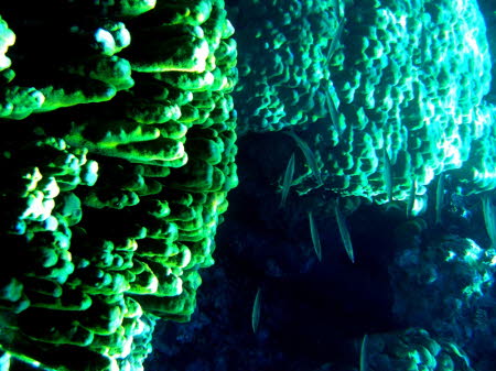aCIMG0755