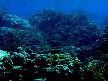 aCIMG0757
