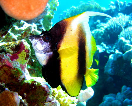 aCIMG0811