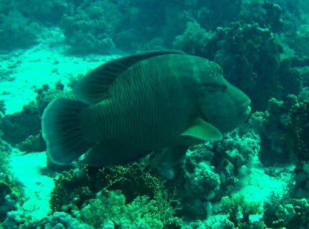 aCIMG0881