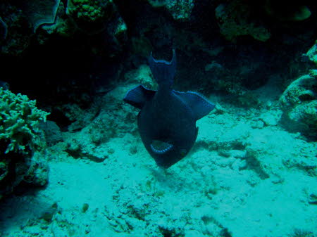 aCIMG1763