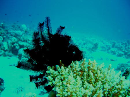 aCIMG1773