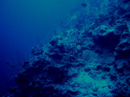 aCIMG1774