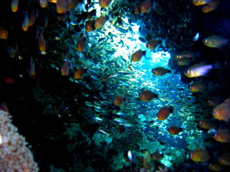 aCIMG2250