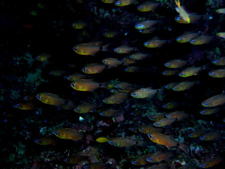 aCIMG2255