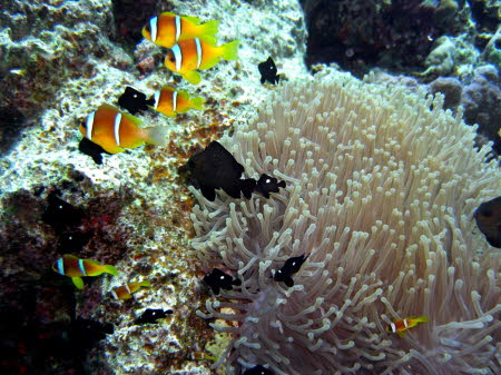 aCIMG2467