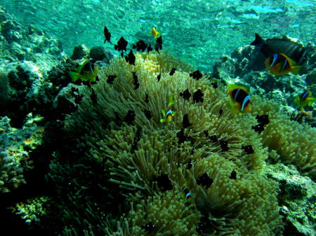 aCIMG2470