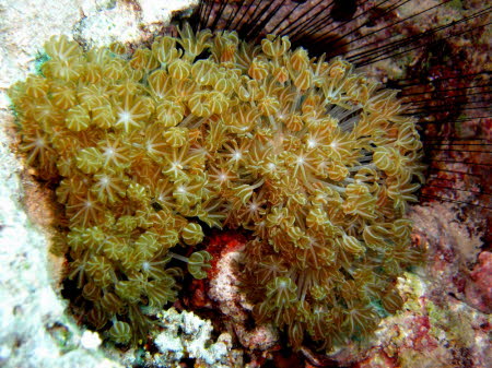 aCIMG2547