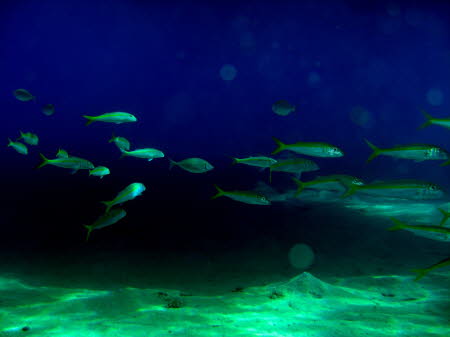 aCIMG2644