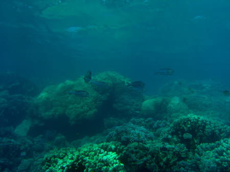 aCIMG6597