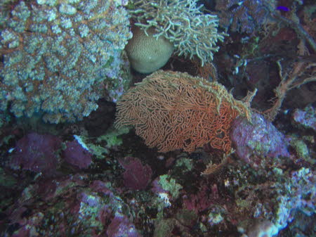 aCIMG6644