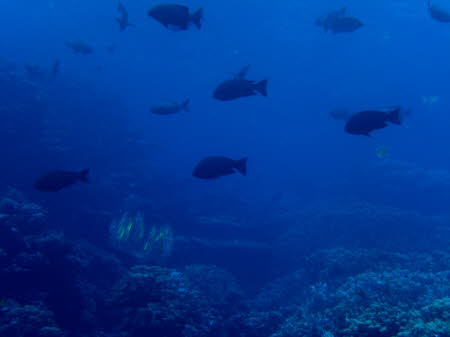 aCIMG6648