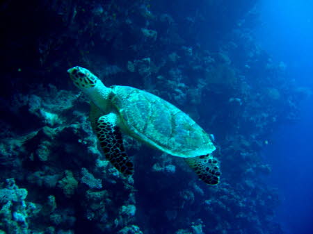 aCIMG6728