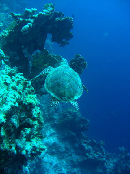 aCIMG6770