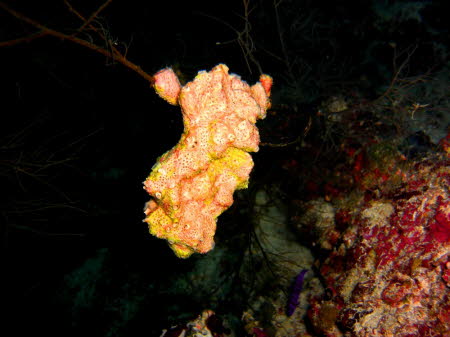 aCIMG6815